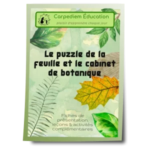 Le puzzle de la feuille et le cabinet de botanique
