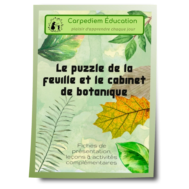 Le puzzle de la feuille et le cabinet de botanique