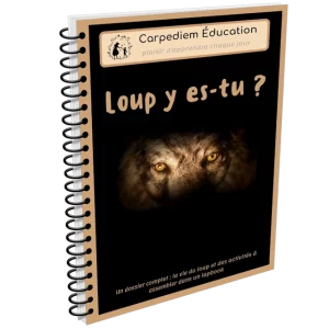 Lapbook Loup y es tu ?